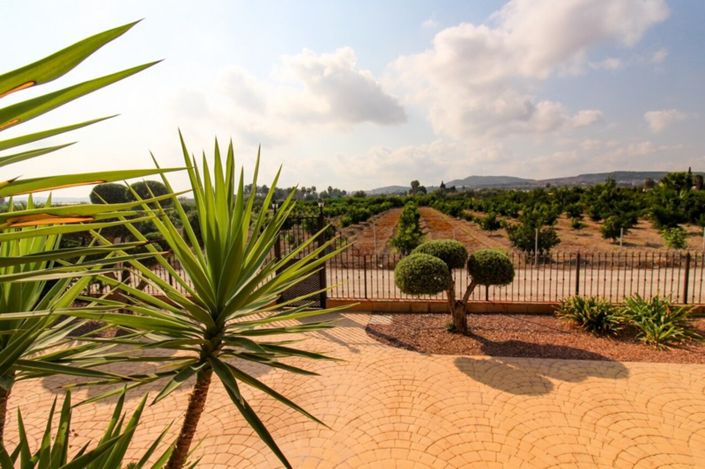 Image No.5-Villa de 4 chambres à vendre à Bigastro