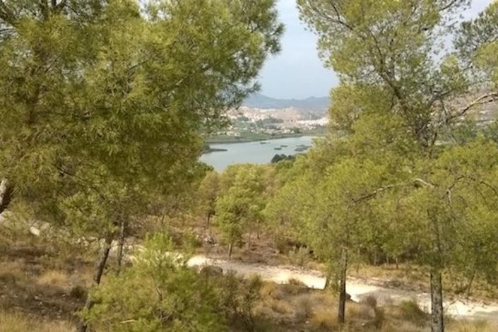 Image No.18-4 Bed Semi-Detached for sale