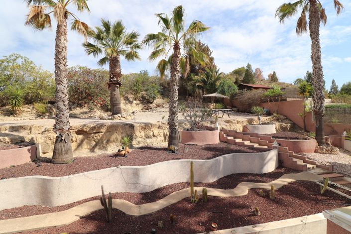 Image No.45-Villa de 4 chambres à vendre à Algorfa