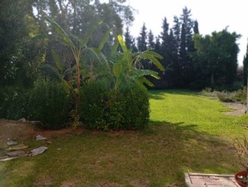 44001918forsaleindayanueva14952322large