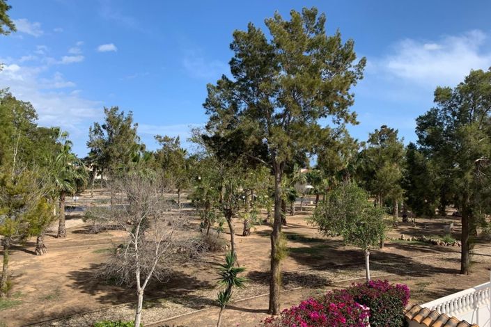 Image No.24-3 Bed Property for sale