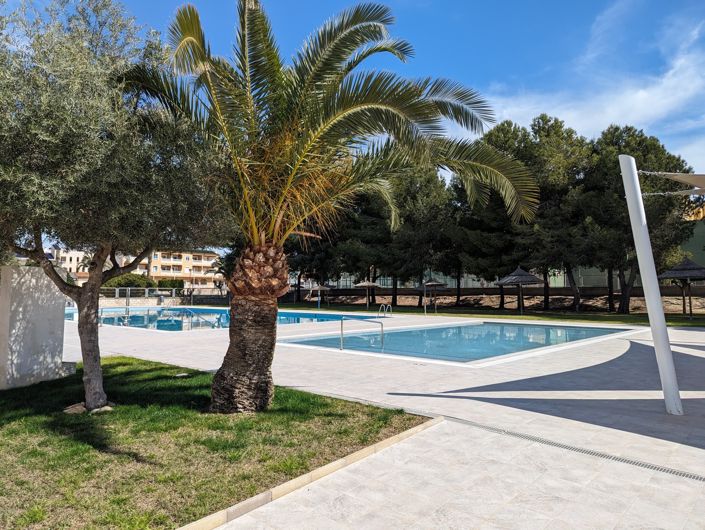 Image No.34-Appartement de 3 chambres à vendre à Algorfa