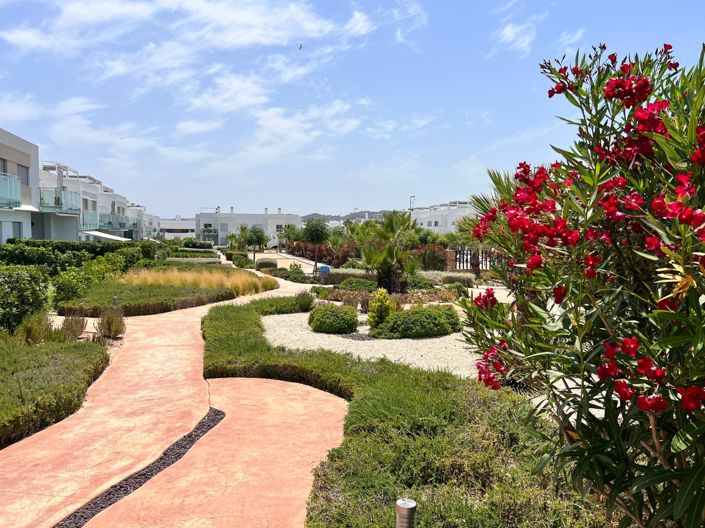 Image No.14-Propriété de 1 chambre à vendre à Alicante