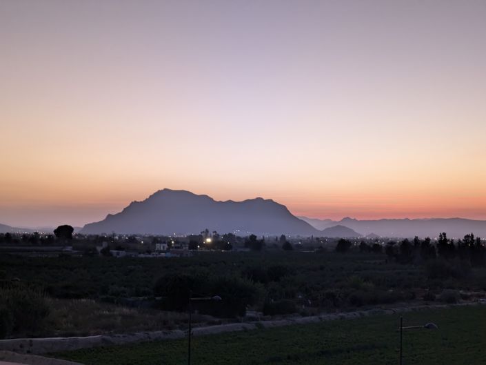 Image No.25-Appartement de 2 chambres à vendre à Algorfa