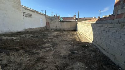 4905img4128xlarge