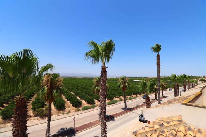 Image No.4-Jumelé de 3 chambres à vendre à Algorfa