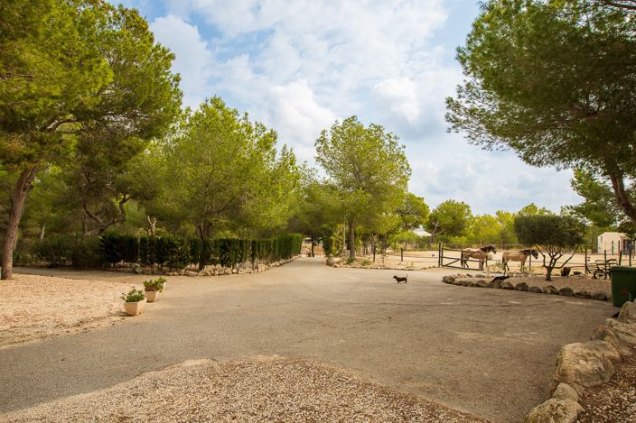 Image No.33-Propriété de 4 chambres à vendre à Torremendo