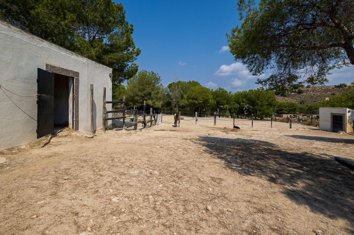 Image No.47-Propriété de 4 chambres à vendre à Torremendo