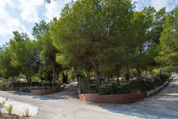 Image No.50-Propriété de 4 chambres à vendre à Torremendo