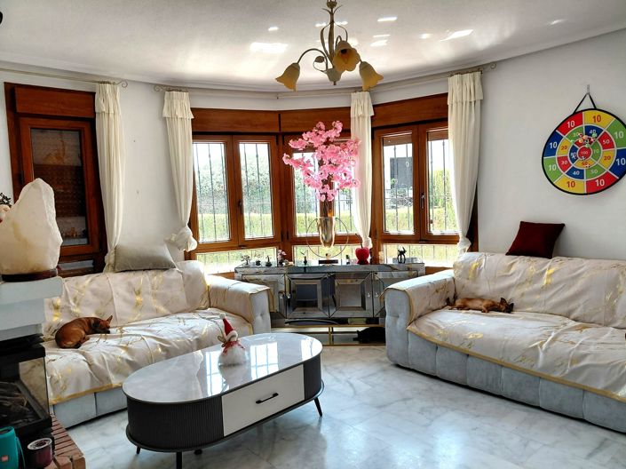 Image No.3-Villa de 5 chambres à vendre à Algorfa