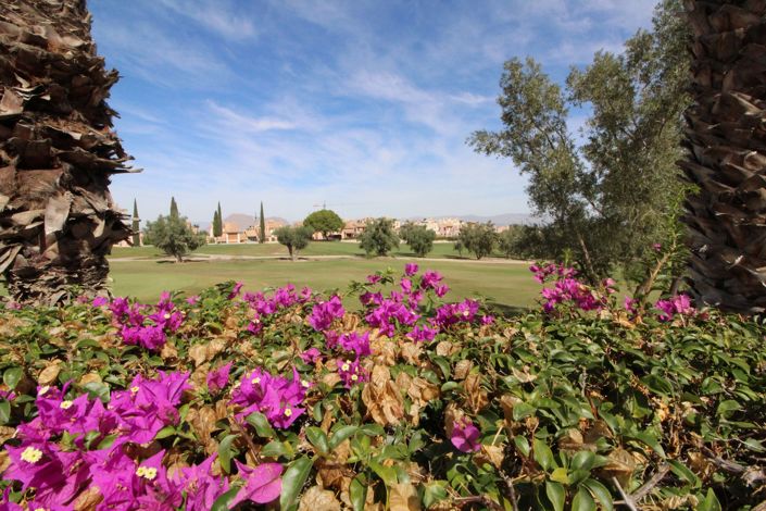 Image No.32-Villa de 3 chambres à vendre à Algorfa