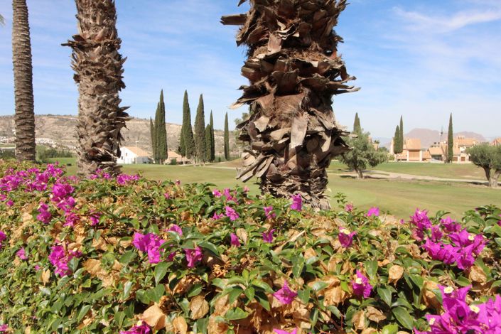 Image No.33-Villa de 3 chambres à vendre à Algorfa