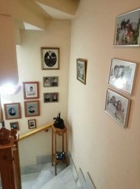 67333325forsaleindayavieja14080445large