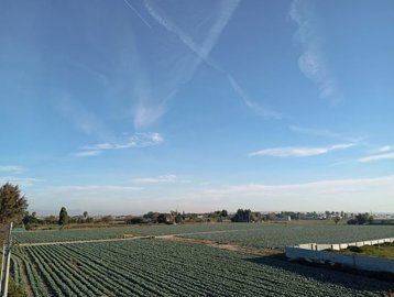 67333325forsaleindayavieja19998422large