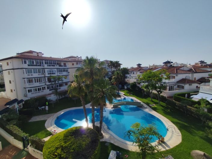 Image No.16-Appartement de 1 chambre à vendre à Torrevieja