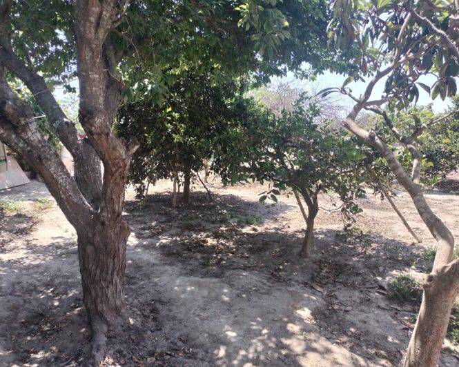 Image No.17-3 Bed Finca for sale