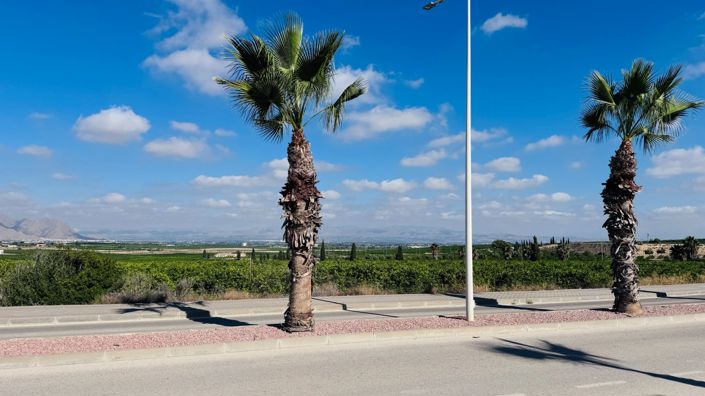 Image No.21-Appartement de 2 chambres à vendre à Algorfa