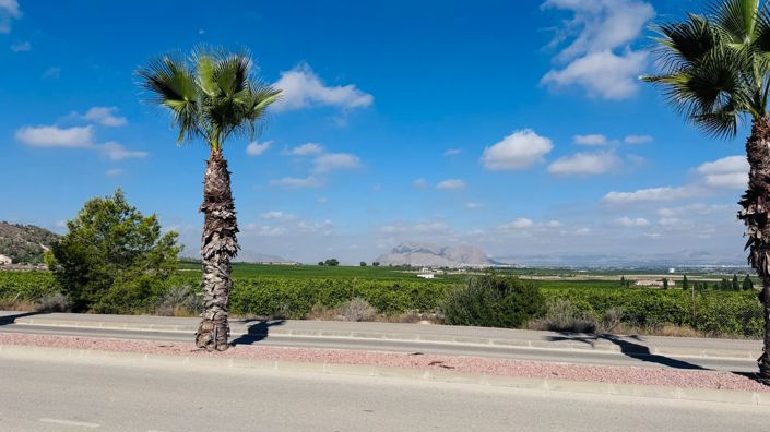 Image No.22-Appartement de 2 chambres à vendre à Algorfa