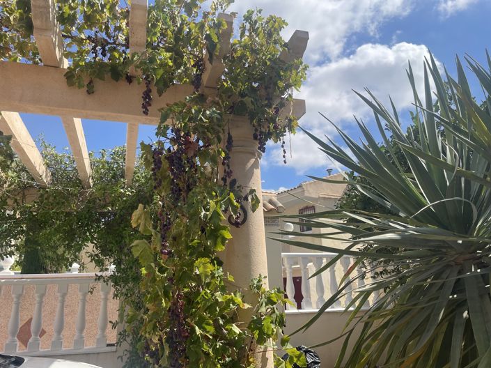 Image No.43-3 Bed Villa for sale