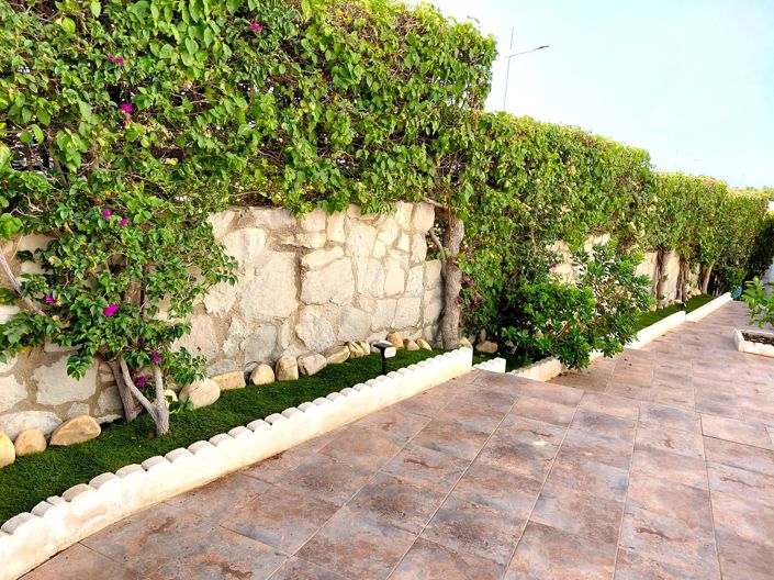 Image No.28-Villa de 5 chambres à vendre à Algorfa