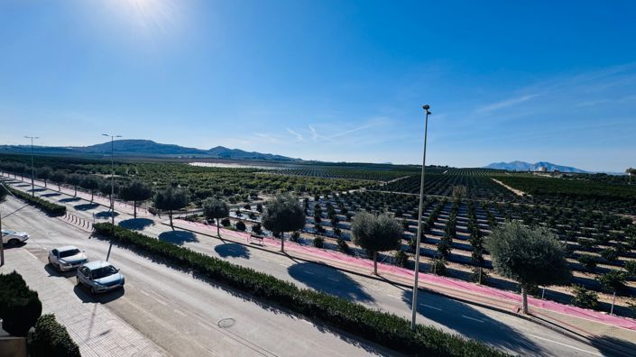 Image No.19-Appartement de 2 chambres à vendre à Algorfa