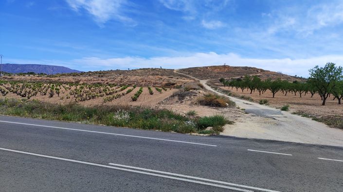 Image No.4-Plot for sale