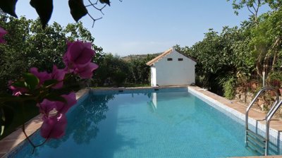 Ideal Country Property most sold property