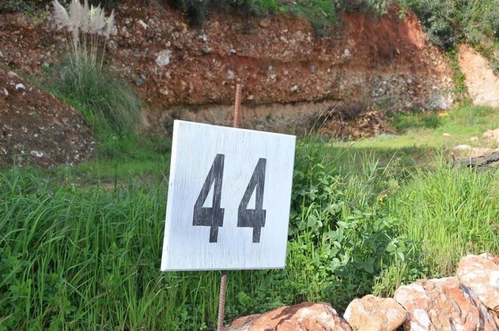 Image No.2-Terre à vendre à Alhaurín el Grande