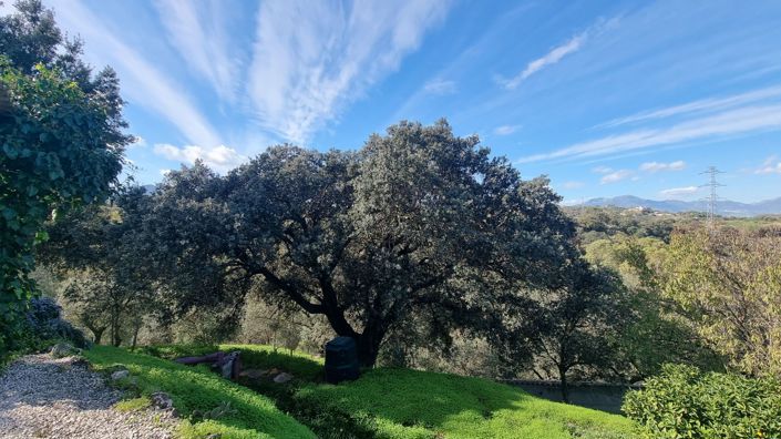 Image No.32-Maison de campagne de 5 chambres à vendre à Alhaurín el Grande