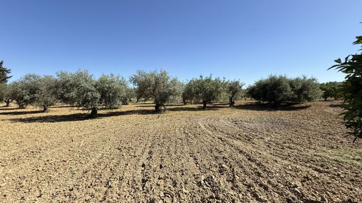 Image No.26-Maison de campagne de 7 chambres à vendre à Alhaurín el Grande