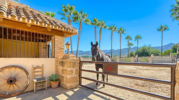 Image No.44-Maison de campagne de 8 chambres à vendre à Alhaurín de la Torre
