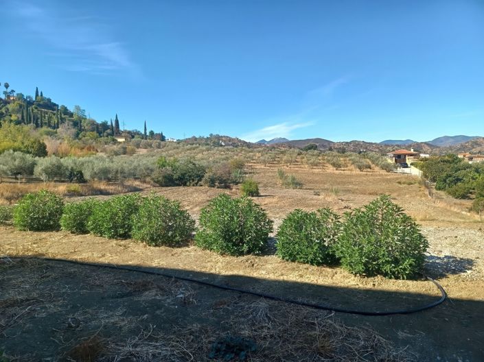 Image No.2-Propriété à vendre à Coin