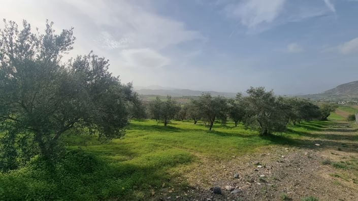 Image No.3-Land for sale