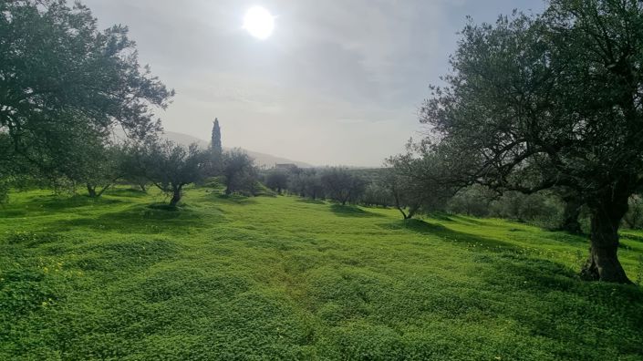 Image No.5-Land for sale