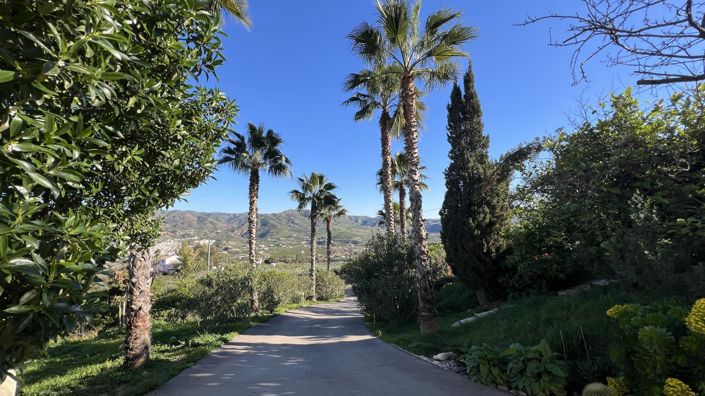 Image No.38-5 Bed Country House for sale