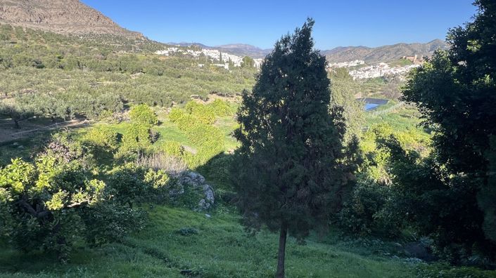 Image No.41-5 Bed Country House for sale