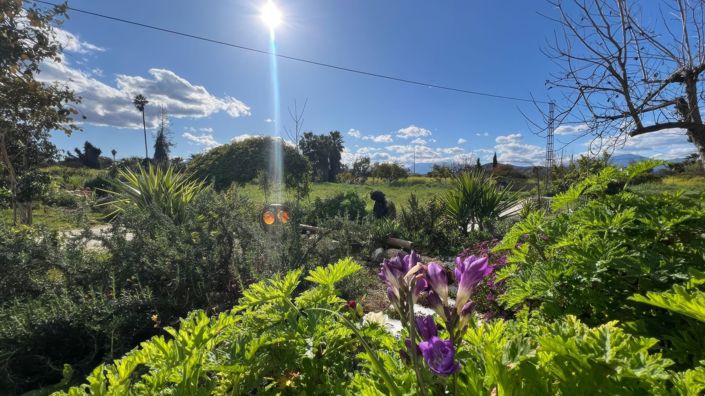 Image No.21-Maison de campagne de 2 chambres à vendre à Alhaurín el Grande