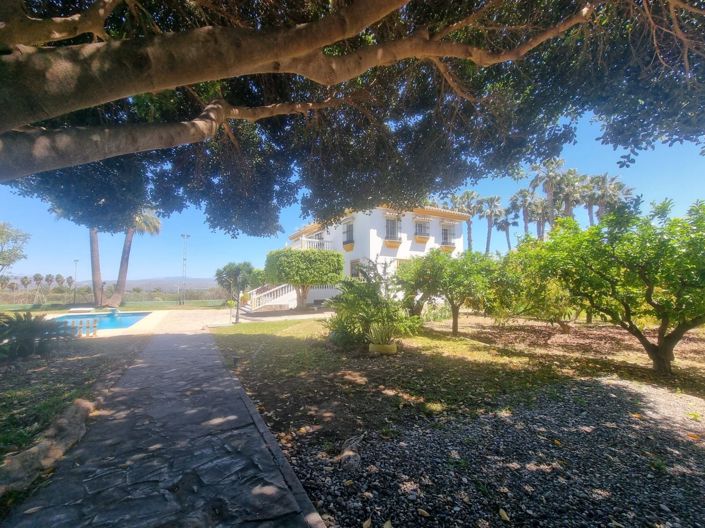 Image No.40-Maison de campagne de 9 chambres à vendre à Alhaurín el Grande