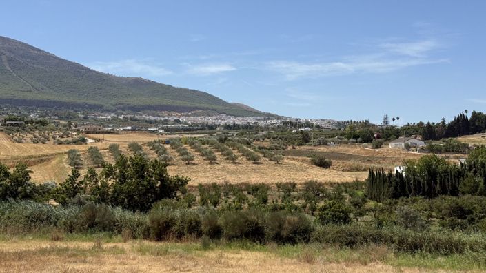 Image No.15-Maison de campagne de 3 chambres à vendre à Alhaurín el Grande