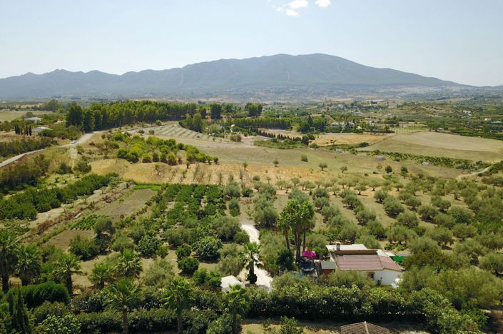 Image No.35-4 Bed Country House for sale