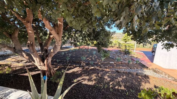 Image No.23-3 Bed Country House for sale