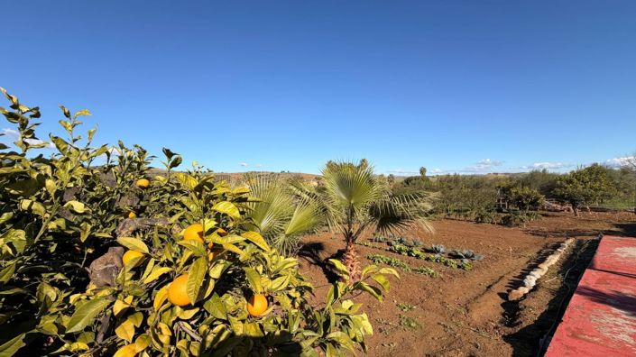 Image No.24-3 Bed Country House for sale