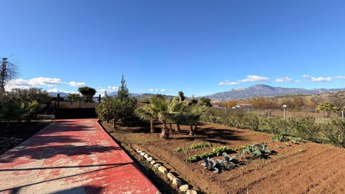 Image No.25-3 Bed Country House for sale