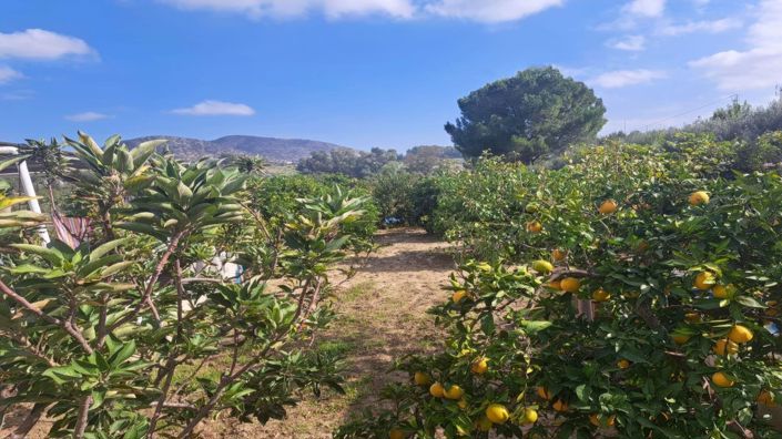 Image No.12-4 Bed Country House for sale