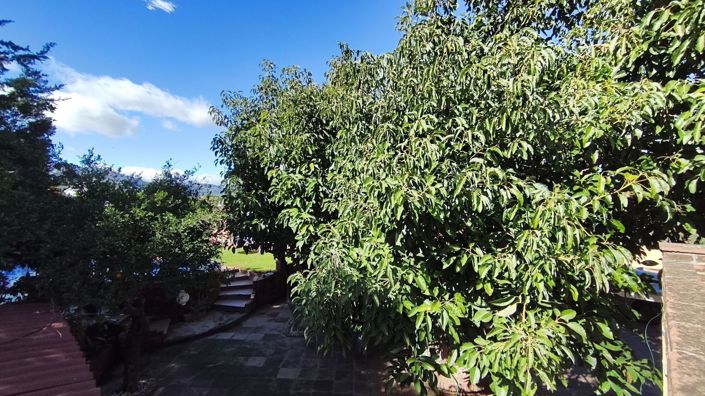 Image No.25-5 Bed Country House for sale