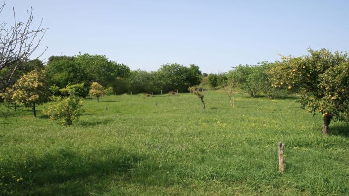Image No.29-Maison de campagne de 3 chambres à vendre à Alhaurín el Grande