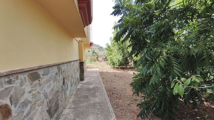 Image No.22-3 Bed Country House for sale