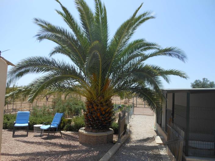 Image No.11-Villa de 3 chambres à vendre à Pinoso