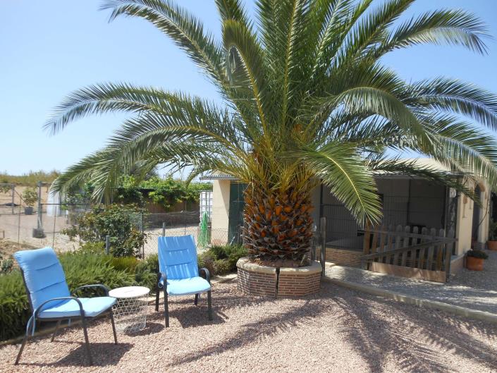 Image No.13-Villa de 3 chambres à vendre à Pinoso