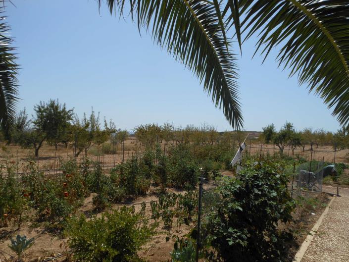 Image No.19-Villa de 3 chambres à vendre à Pinoso